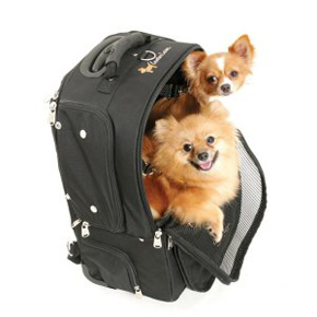 pet carry bag