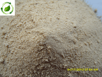 Amino Acids Powder