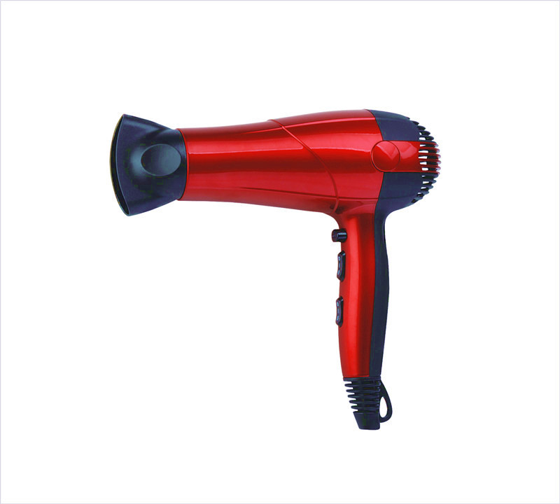 T-1001 high quality hair dryer professional