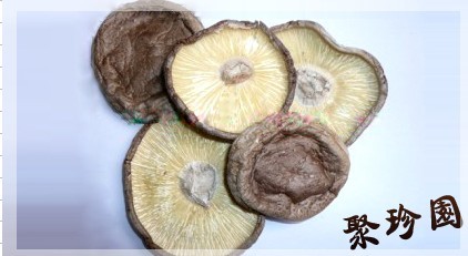 Sawdust shiitake/Dried mushroom