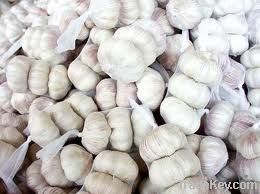 white garlic