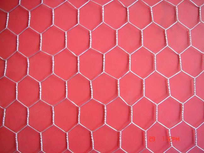 hexagonal wire netting