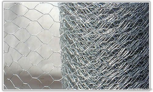 Hexagonal Wire Mesh