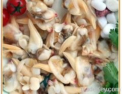 frozen baby clam meat