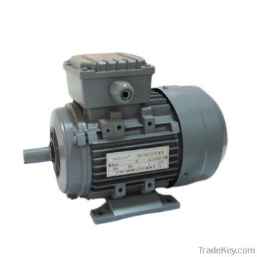 Electric motor