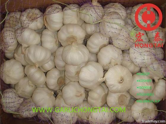 Chinese Fresh Pure White Garlic Factory