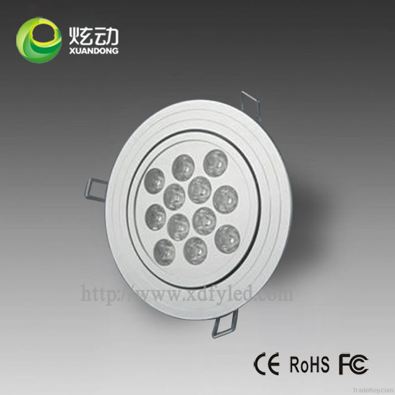 Indoor Decorative Led Ceiling Light