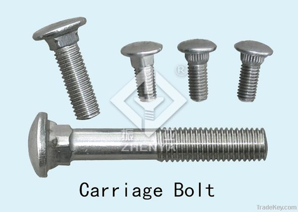 stainless steel bolt(hex, square, round, *****)