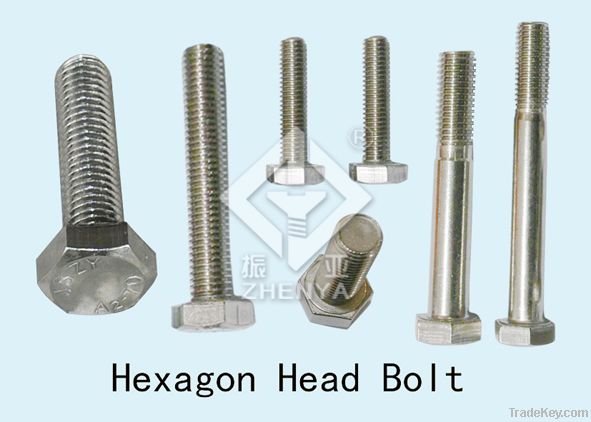 stainless steel bolt(hex, square, round, *****)