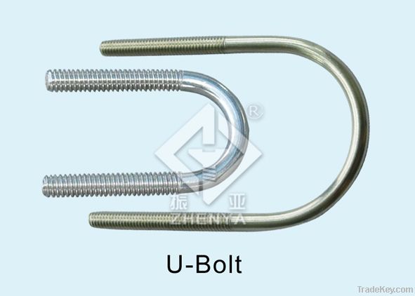 stainless steel bolt(hex, square, round, *****)