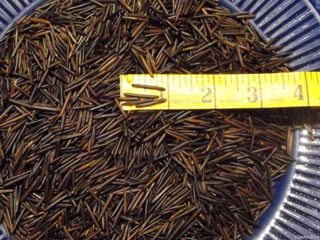 Canadian Wild Rice