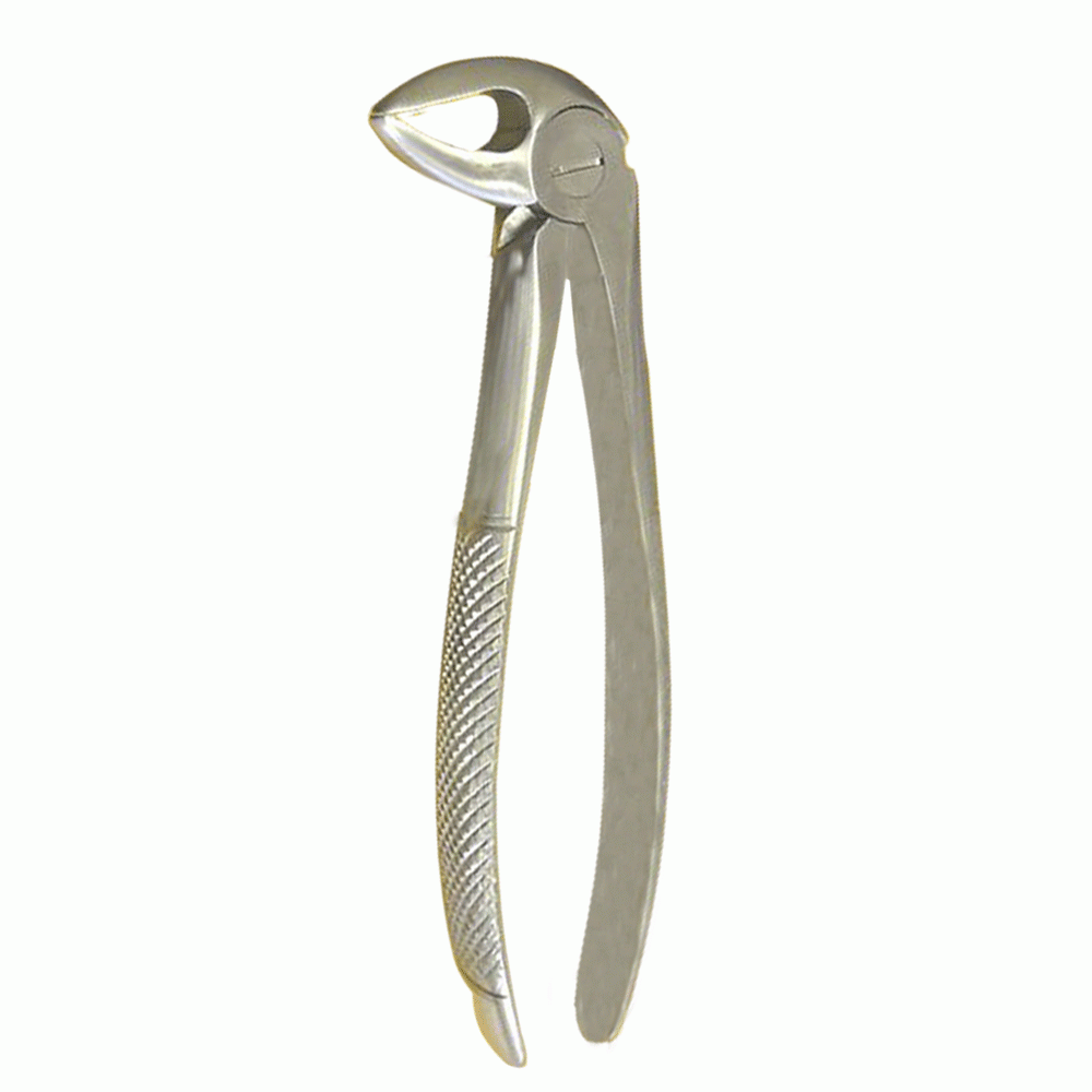 Professional Dental Extracting Forceps English Pattern no.33