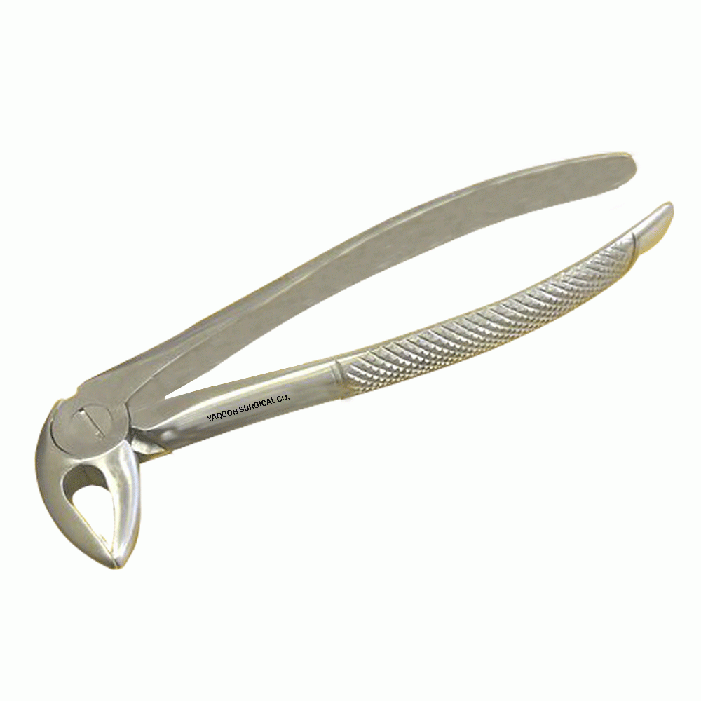 Professional Dental Extracting Forceps English Pattern no.33