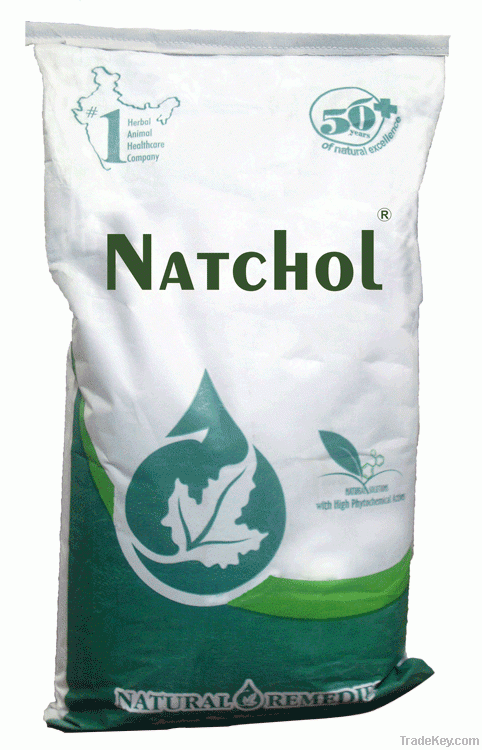 Natchol  - Replacer for Synthetic Choline chloride & Equivalent