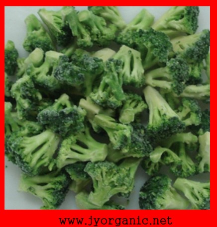 IQF organic  Broccoli