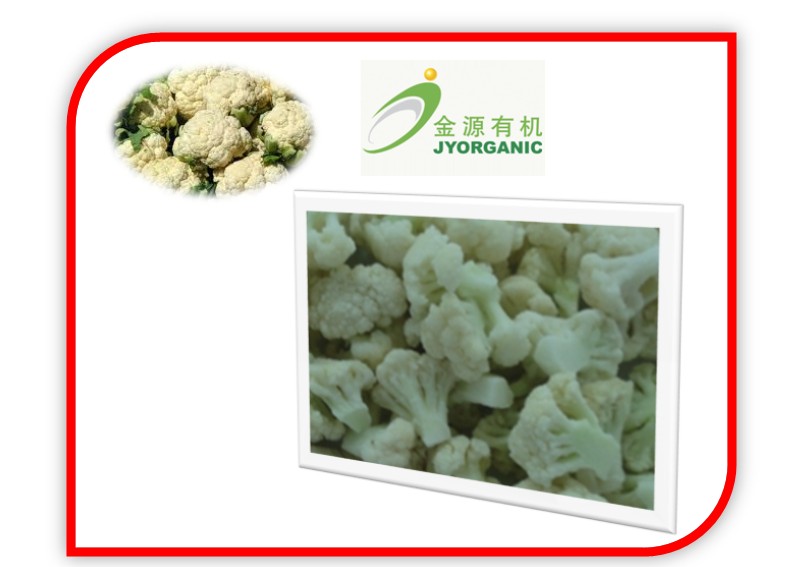 IQF organic cauliflower