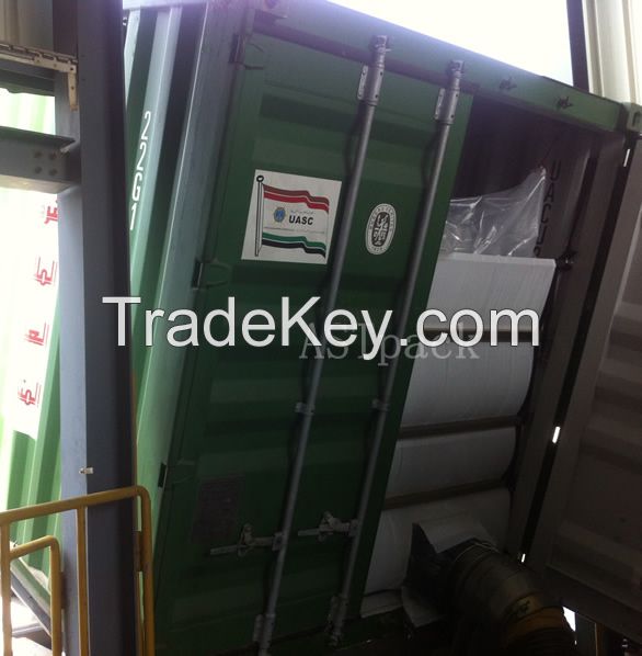 Sea Bulk Container Liner For Transportation of Coffee