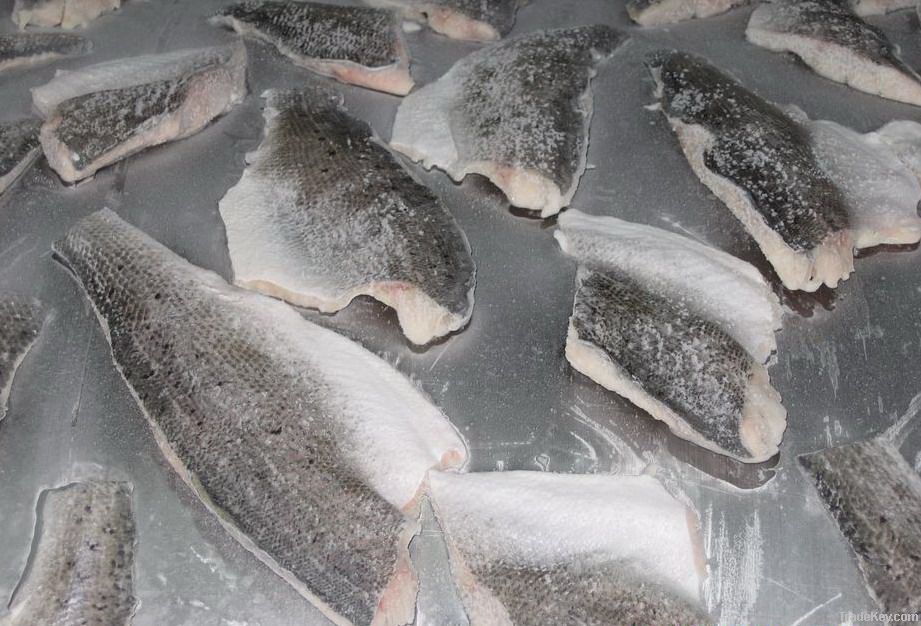 frozen sea bass fish fillet