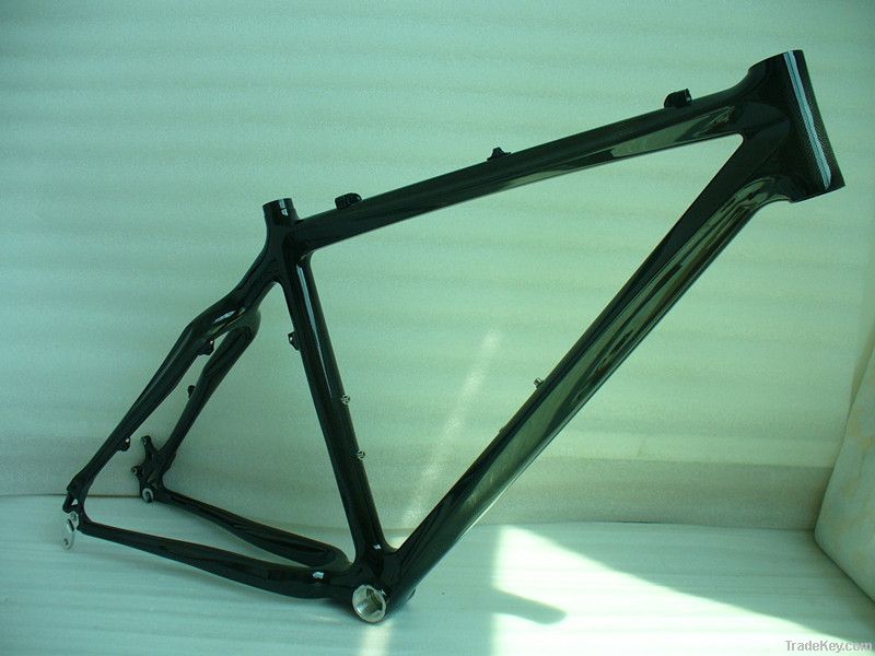 Carbon MTB frame