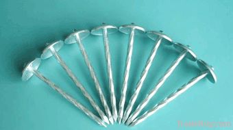 Galvanized roofing nails(Gentiana)