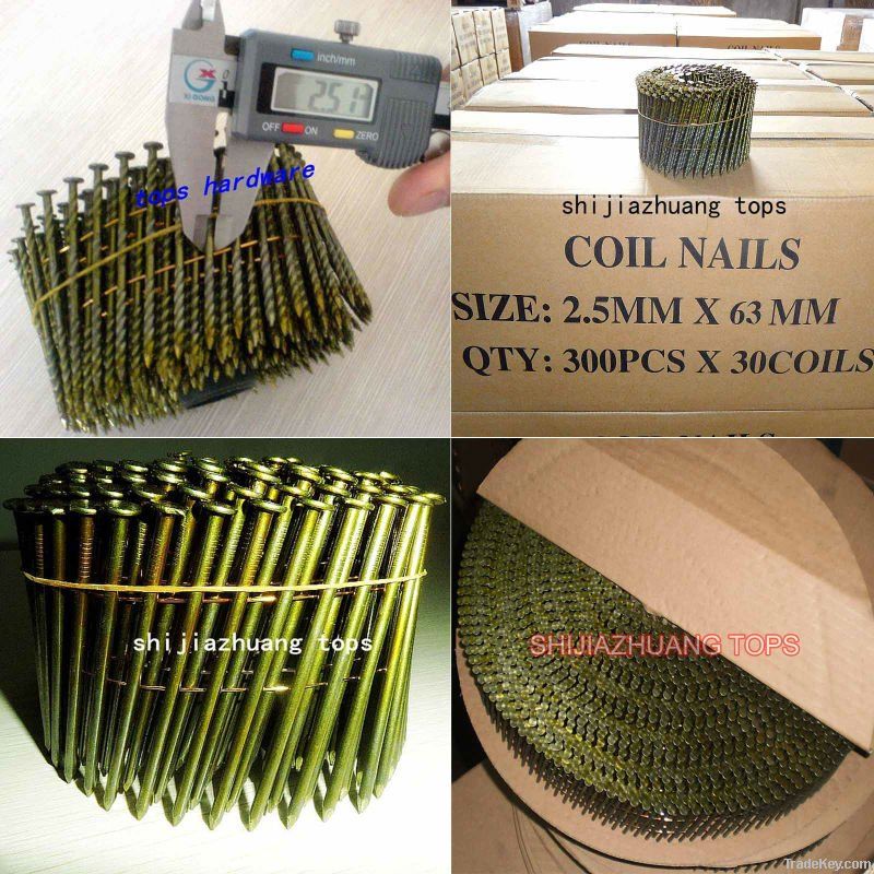 coil nails, pallet screw nails price