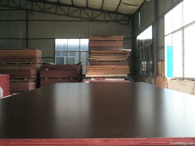 Filifaced plywood