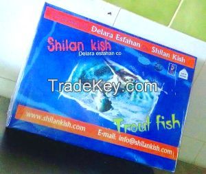 Salmon Trout Fish Fillets