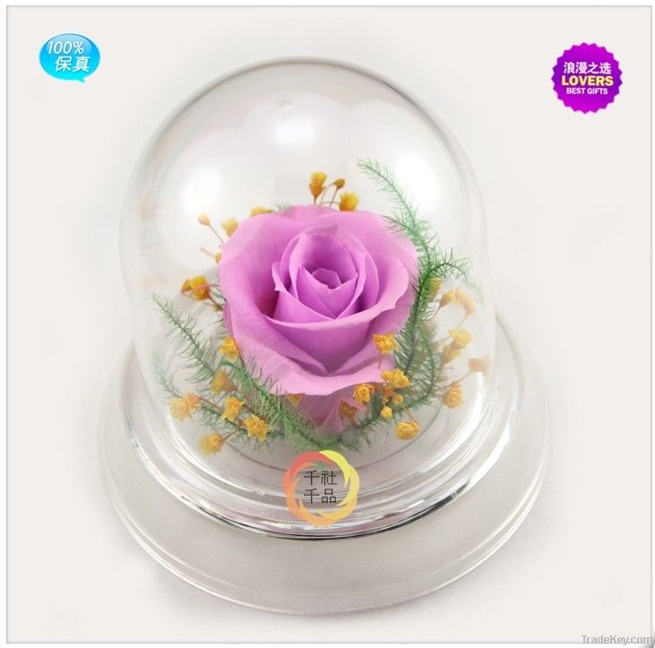 Wholesale Yunnan Preserved Flower Gift