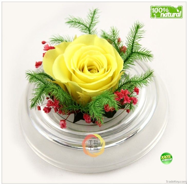 Wholesale Yunnan Preserved Flower Gift