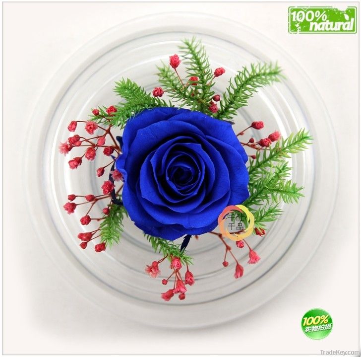 Wholesale Yunnan Preserved Flower Gift