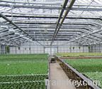 4mm Tempered Glass for Greenhouse
