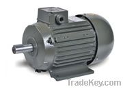 YS series three-phase induction motor