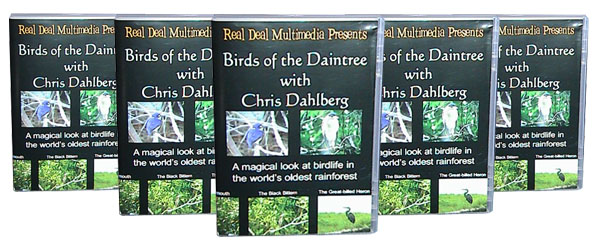 Birds of the Daintree DVD