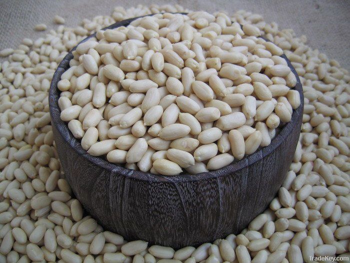 Blanched peanut kernels