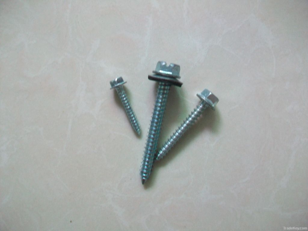 HEX WASHER HEAD SELF TAPPING SCREW