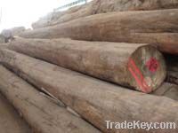 yacht grade teak wood