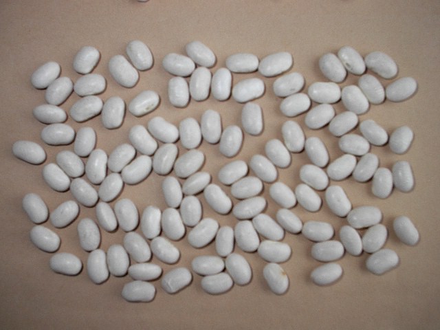 light speckled kidney beans and white beans