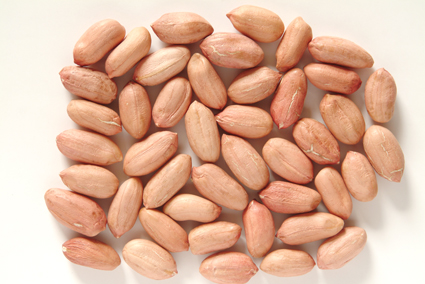 groundnut