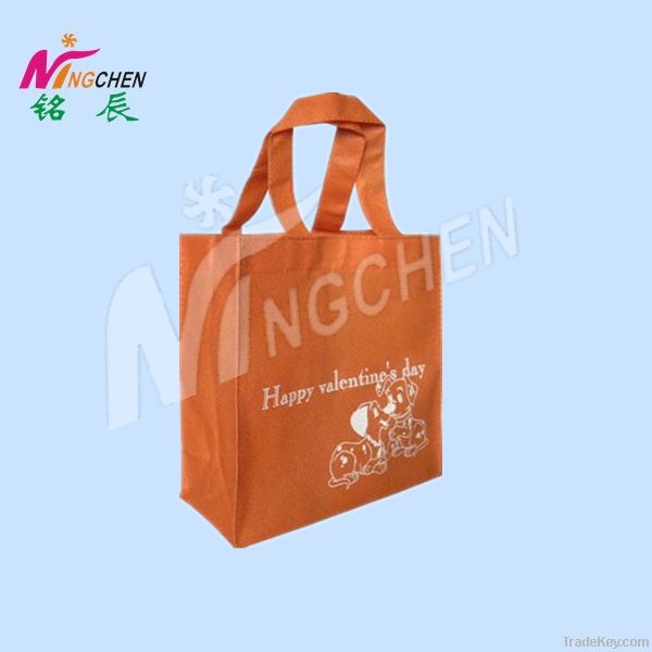 2011 new desige pp non woven bag