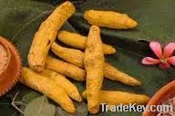 Turmeric finger