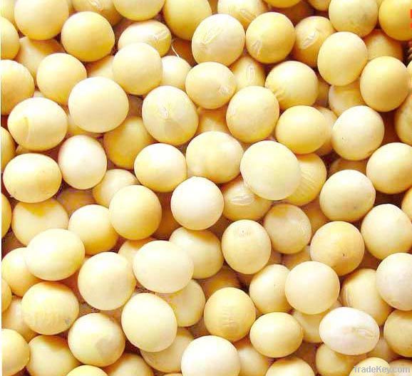 Soybean Isoflavones/ISO9001, Kosher, Organic certificated