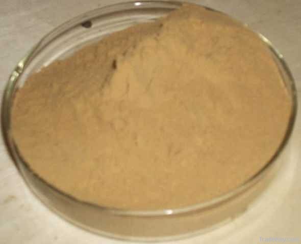 Passionflower Extract Powder