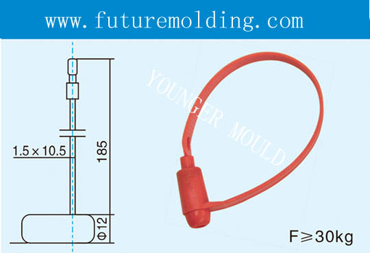 Security Seals Mould