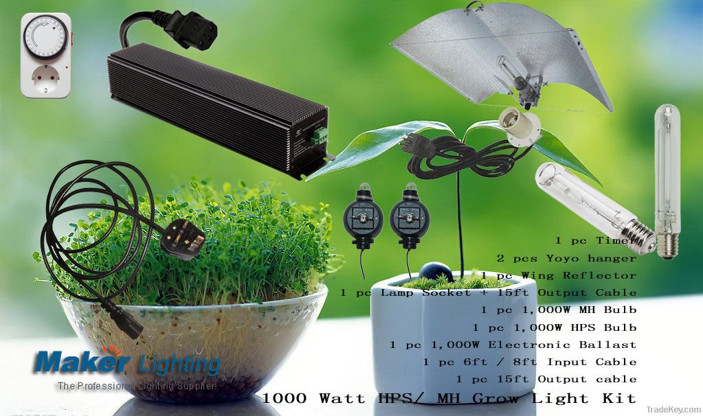 1000W HID Grow Light Kit