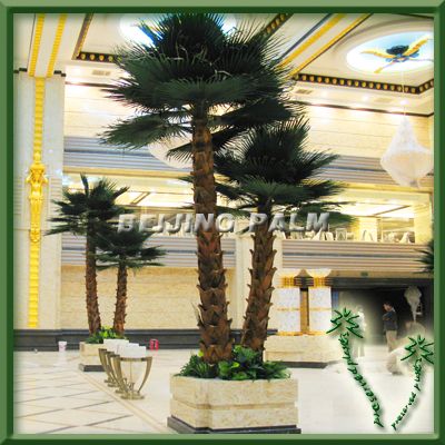 Artificial washington palm tree in hotel