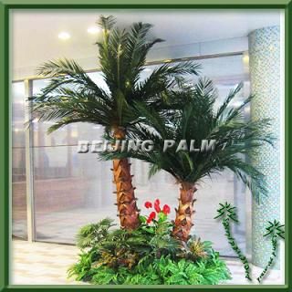 Artificial date palm tree for Indoor use