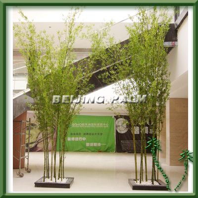 Artificial Bamboo tree for Indoor use