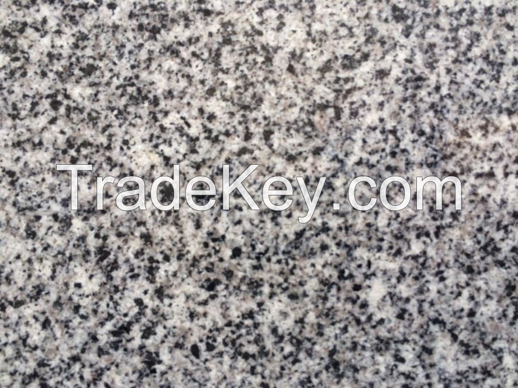 Natural Cheap Grey Granite Manufactory 