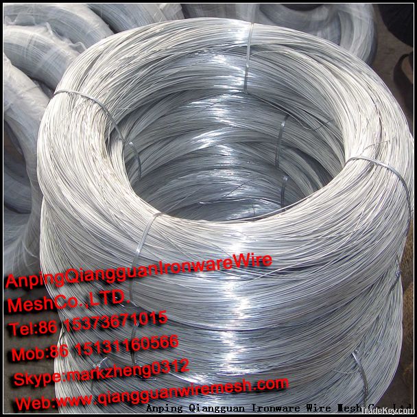 Galvanized Wire BWG22-8 (Own Factory 23 years)