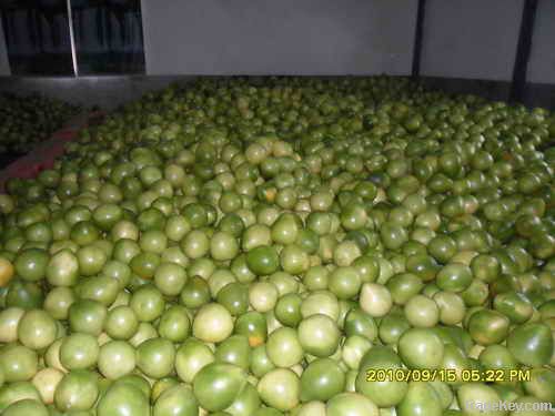 fresh pomelo